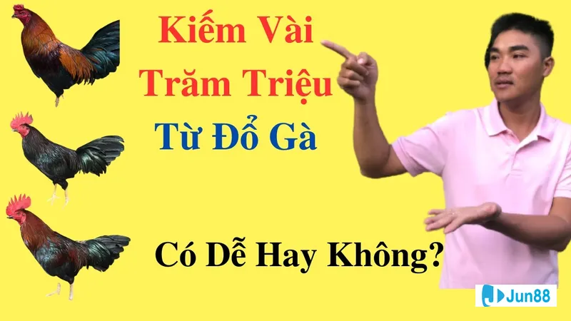 Gà đang được chăm sóc sau khi đổ Gà đang được chăm sóc sau khi đổ